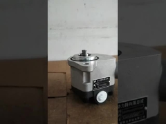 Schnellverkäufe Steuereinbaupumpe SCB-1315L/1245-3 für Minenwagen