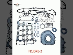 Fabrik-Hot-Sale-Motor-Überholungspaket FDJDXB-2 für WD615-Motor