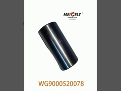 Warmverkauf WG9000520078 Busch für HOWO 371 Lkw-Teile Weichai Motor