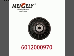 6012000970 9146139 Auto-Motoren Teile Gürtel Spannreifen für Mercedes Benz