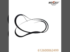 OEM 612600062499 Motor Gürtel für Howo Originalqualität und perfekte Passform