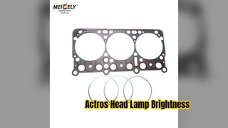 EGK-8425 Dichtungssatz für Mack Trucks – OEM-Qualität, auslaufsicher, langlebige Leistung