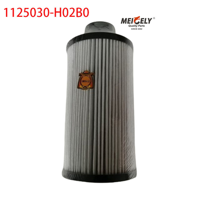 1125030-H02B0 Kraftstofffilter für Lkw-Teile für Dongfeng Tianlong