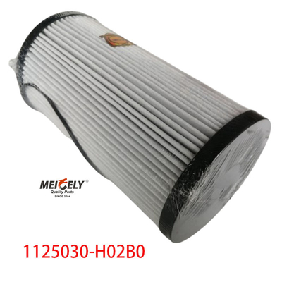 1125030-H02B0 Kraftstofffilter für Lkw-Teile für Dongfeng Tianlong