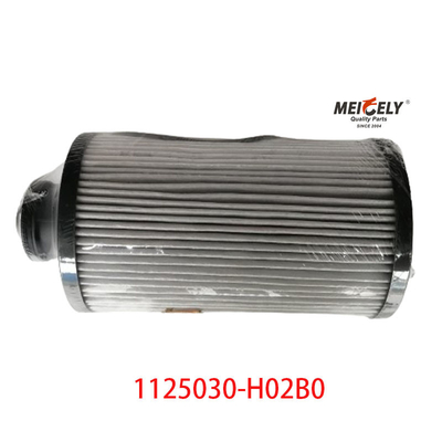 1125030-H02B0 Kraftstofffilter für Lkw-Teile für Dongfeng Tianlong