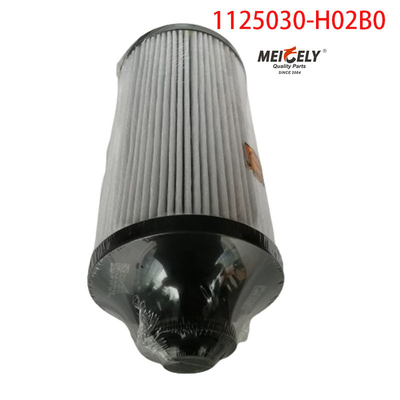 1125030-H02B0 Kraftstofffilter für Lkw-Teile für Dongfeng Tianlong