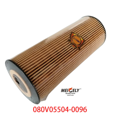 Vorrat OEM 080V05504-0096 Für SINOTRUK Howo T5G Lkw-Ölfilter