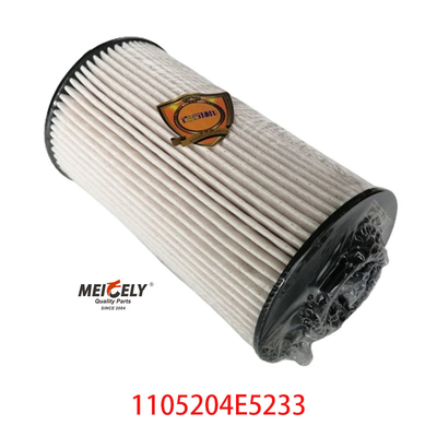 Stock 1105204E5233 Kraftstofffilter für JAC Jianghuai Junling