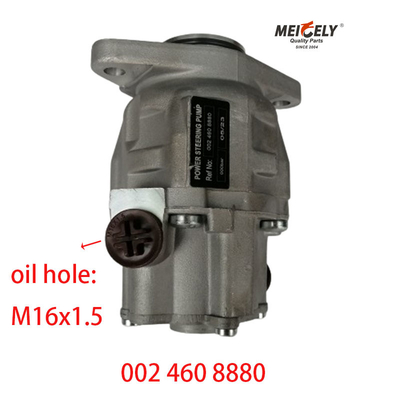 Neue Servolenkpumpe OE 002 460 8880 für Mercedes-Benz