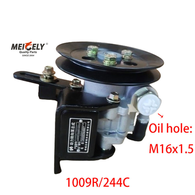 1009R/244C JAC Foton Dongfeng Yunnei Leistungssteuerung Pumpe
