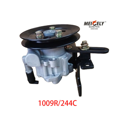 1009R/244C JAC Foton Dongfeng Yunnei Leistungssteuerung Pumpe