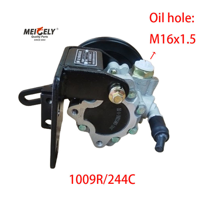1009R/244C JAC Foton Dongfeng Yunnei Leistungssteuerung Pumpe