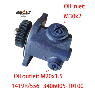 Blade Pump 1419R/556 DONGFENG RENAULT Servolenkungspumpe