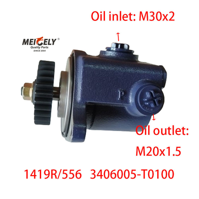 Blade Pump 1419R/556 DONGFENG RENAULT Servolenkungspumpe