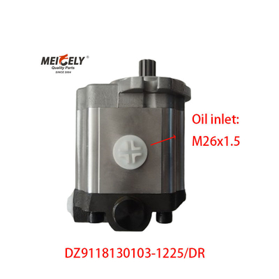 Kraftlenkpumpe für den Motor des schweren Lkw M11-310 von Shaanqi