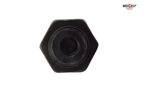Fuso und Canter ME012586 Bolt Oil Jet Valve für alle Modelle