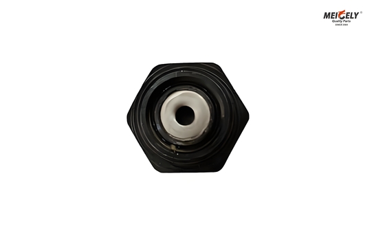 Fuso und Canter ME012586 Bolt Oil Jet Valve für alle Modelle