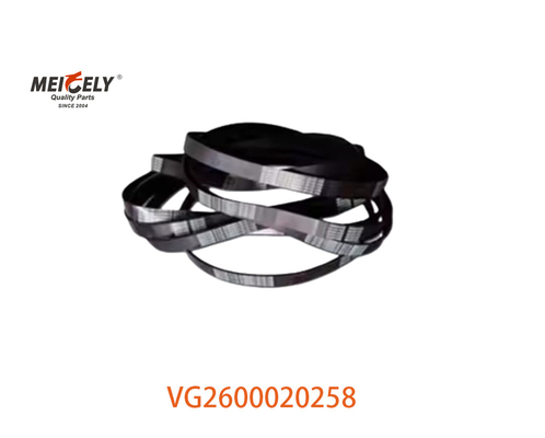 Warm verkaufte VG2600020258 Alternator Gürtel Motoren Ersatzteile für HOWO