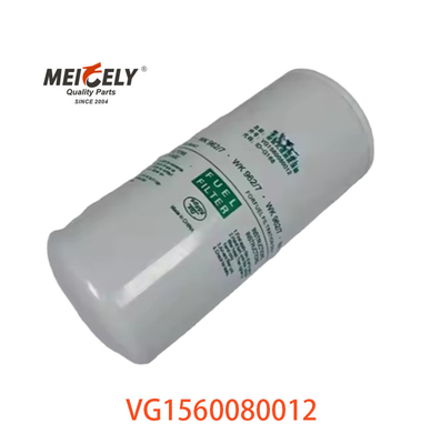 VG1560080012 Kraftstofffilter 20805349 für SINOTRUK CNHTC HOWO
