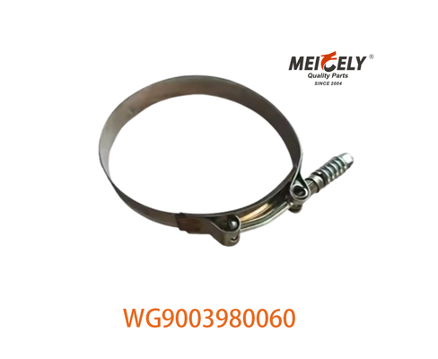 OEM WG9003980060 Starke Schlauchspange für SINOTRUK HOWO