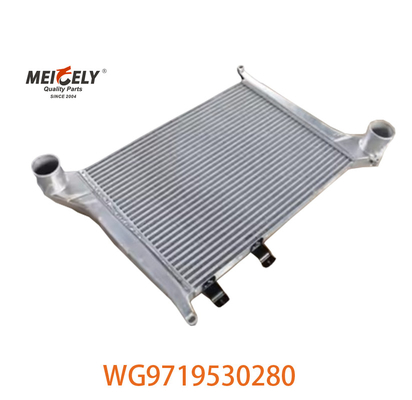 OEM WG9719530280 Für Howo Zwischenkühlermontage WG9719530281