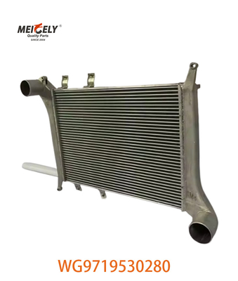 OEM WG9719530280 Für Howo Zwischenkühlermontage WG9719530281