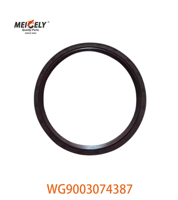 HOWO Lkw-Ersatzteile Öldichtung OEM WG9003074387 WG9112340114