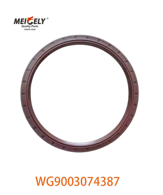 HOWO Lkw-Ersatzteile Öldichtung OEM WG9003074387 WG9112340114