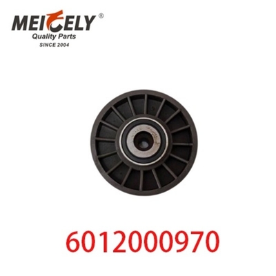 6012000970 9146139 Auto-Motoren Teile Gürtel Spannreifen für Mercedes Benz