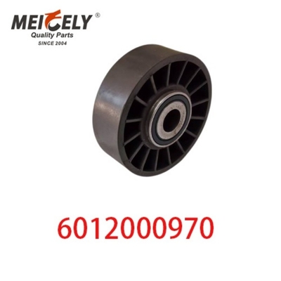 6012000970 9146139 Auto-Motoren Teile Gürtel Spannreifen für Mercedes Benz