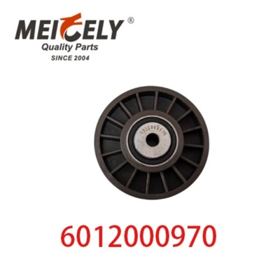 6012000970 9146139 Auto-Motoren Teile Gürtel Spannreifen für Mercedes Benz