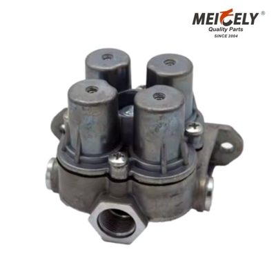 5010216965 Renault Schutzventil OEM-kompatibel Langlebig