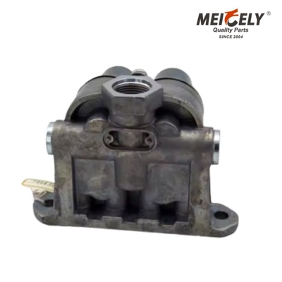 5010216965 Renault Schutzventil OEM-kompatibel Langlebig