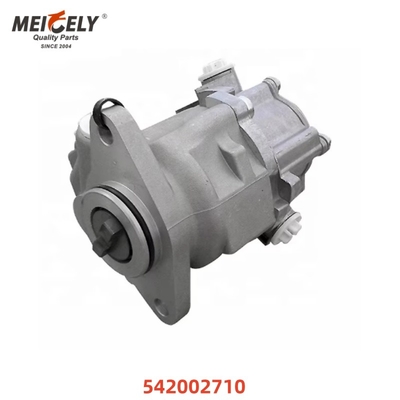 Fahrzeugteile Lenkpumpe OEM 542002710 8695955113 Für Merecdes-Benz