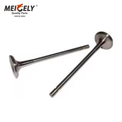 C7.IN D6E.EX CI3.EX Einlassventil Auslassventil für Maschinenbau