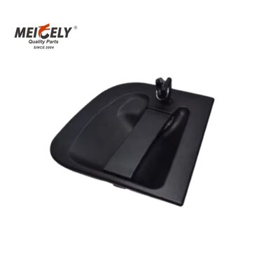 OEM-Klasse 5001858130 Türgriffersatz für Renault-Schwerlastfahrzeuge