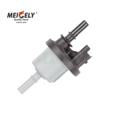 OEM Standard Fuel Pump Nozzle 0433171057 Direct Replacement For Mack