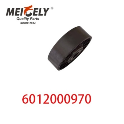 6012000970 9146139 Auto-Motoren Teile Gürtel Spannreifen für Mercedes Benz